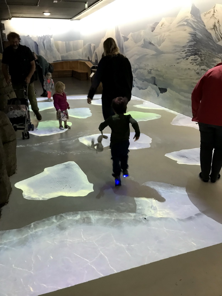 Max with projected ice floes at the Falklands section at the Oceanium at the Diergaarde Blijdorp zoo