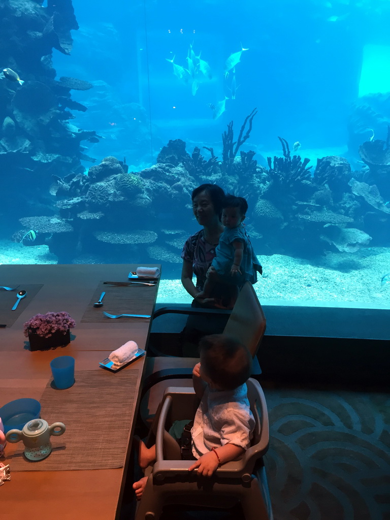 Miaomiao`s mother and Max and his cousin in front of the aquarium with fish at the Aqua restaurant at the InterContinental Sanya Haitang Bay Resort