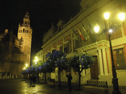 The tourist office and the east side of the Seville Cathedral with the Giralda tower at the Plaza del Triunfo square, by night