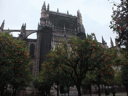 The east side of the Seville Cathedral and orange trees at the Patio de los Naranjos courtyard