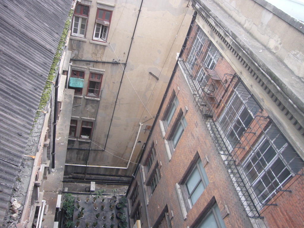 View on neighbouring housed from the roof of the Ambassador Hotel