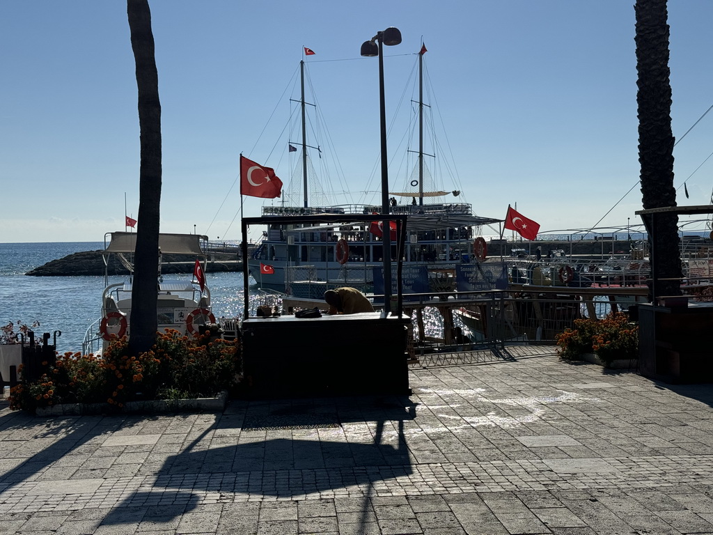 Boats in the Side Harbour