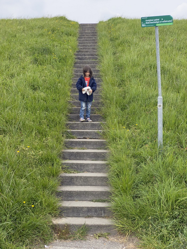 Max with a plush toy at the staircase to the beach near the Dijkweg road