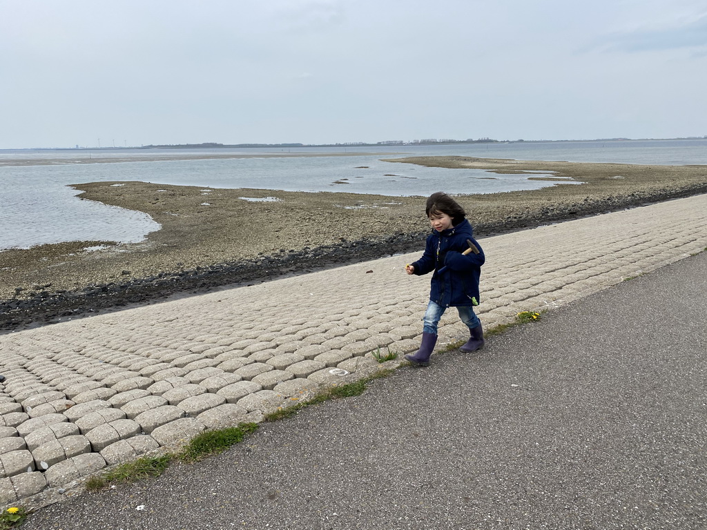 Max looking for seashells at the beach near the Dijkweg road