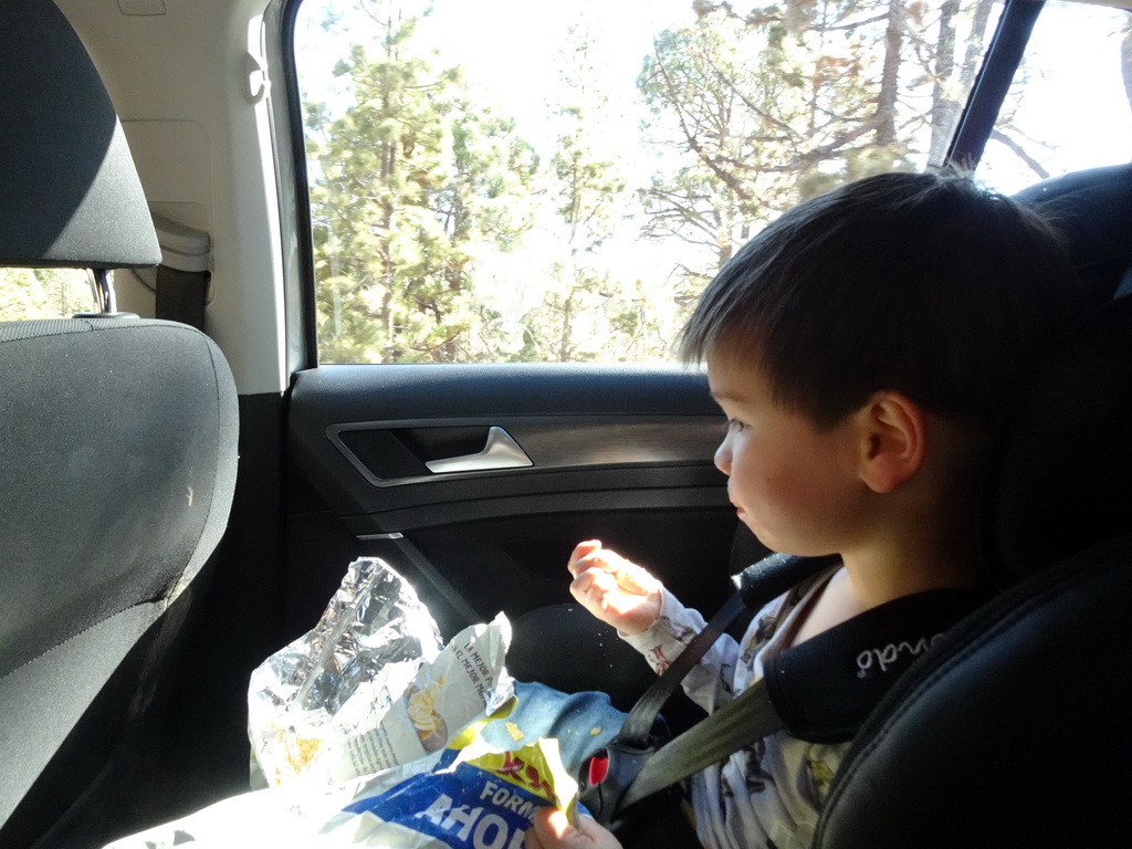 Max in our rental car at a parking place along the TF-21 road on the southwest side of the Teide National Park