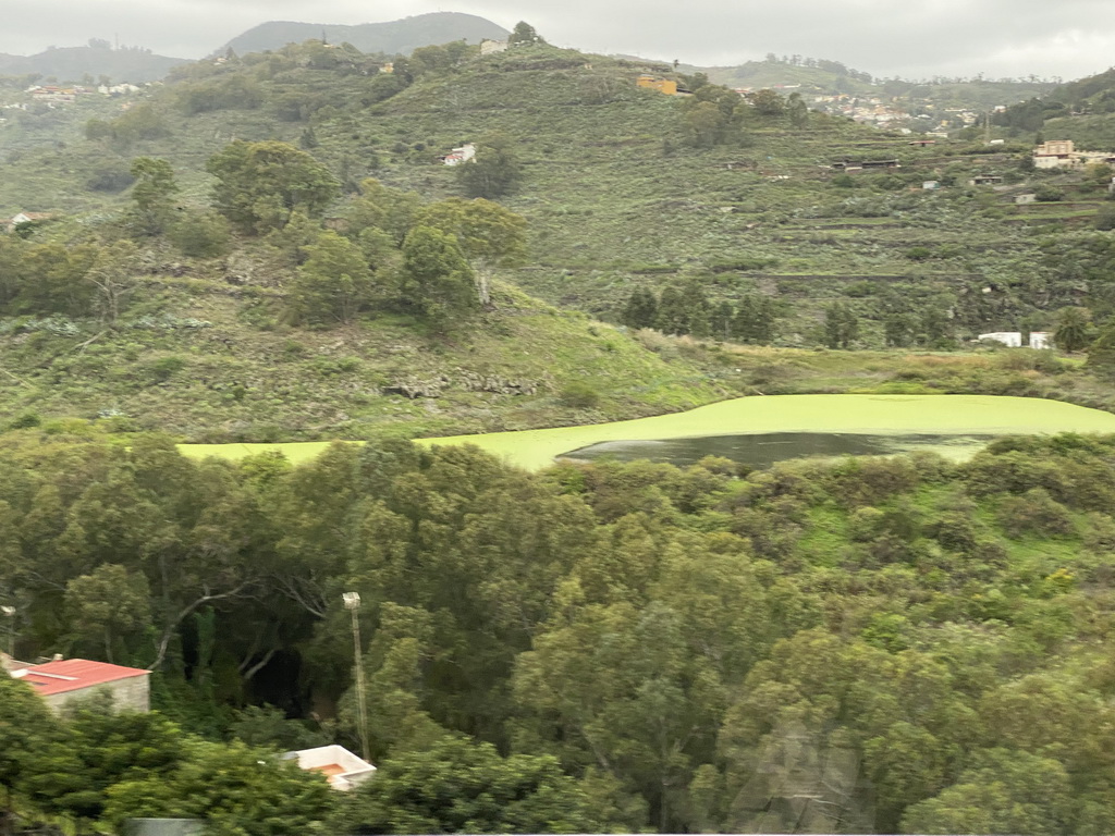 The Barranco del Zapatero river, viewed from the tour bus on the GC-21 road near the town of San José del Álamo