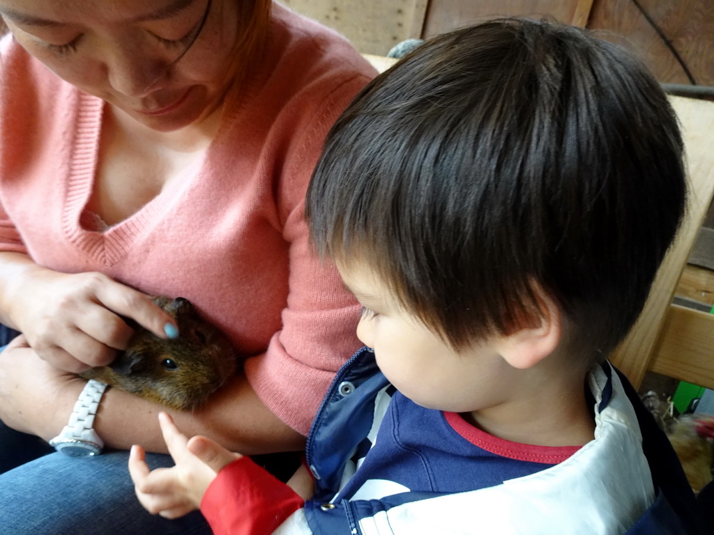 Miaomiao and Max cuddling a guinea pig at the Texel Sheep Farm at Den Burg