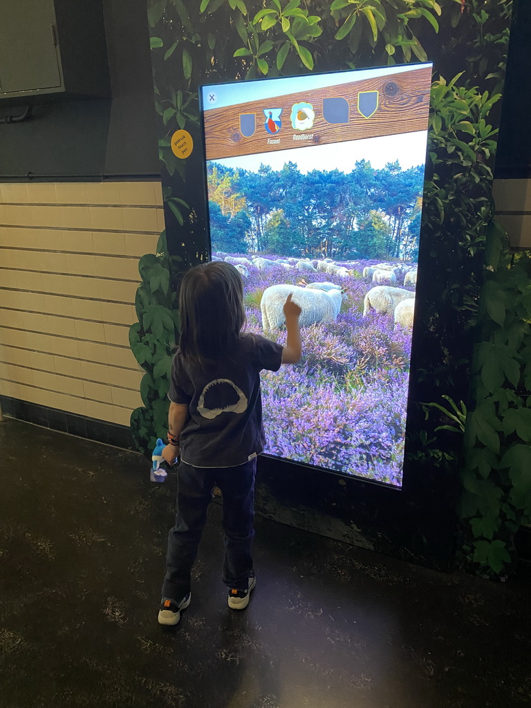 Max with an interactive screen at the OO-zone at the ground floor of the Natuurmuseum Brabant