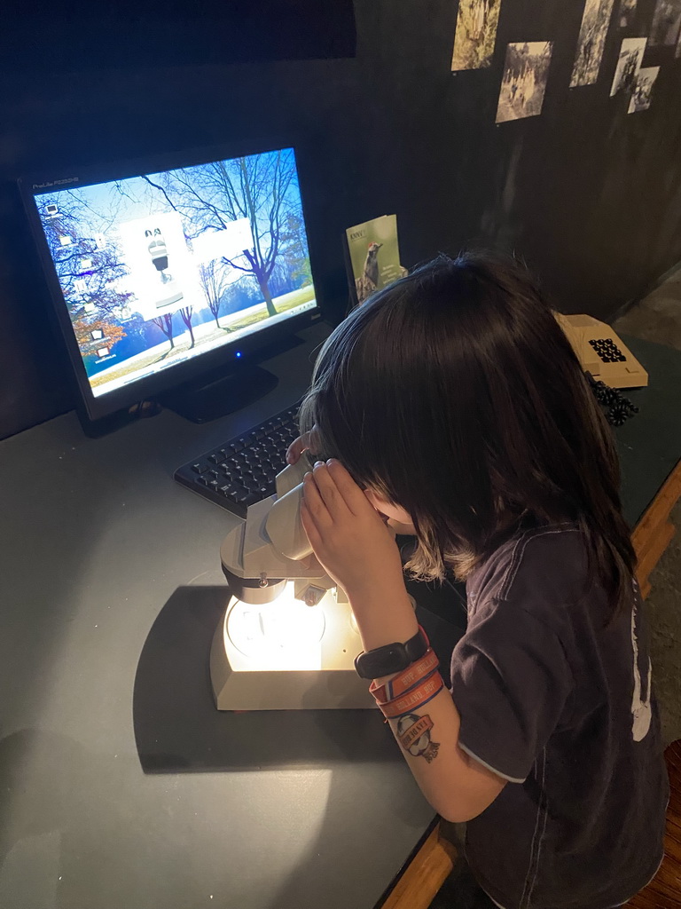 Max playing with a microscope at the `Jouw Brabant, mijn Brabant - een landschap vol herinneringen` exhibition at the first floor of the Natuurmuseum Brabant