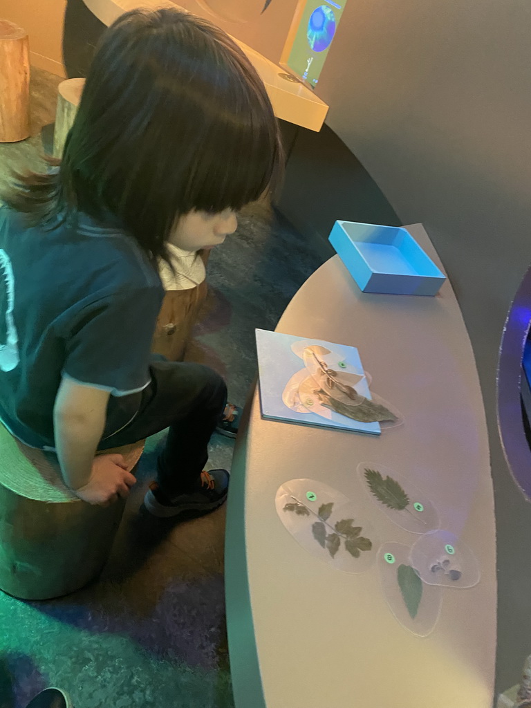 Max with a leaf game at the `Beleef Ontdek Samen: BOS` exhibition at the second floor of the Natuurmuseum Brabant