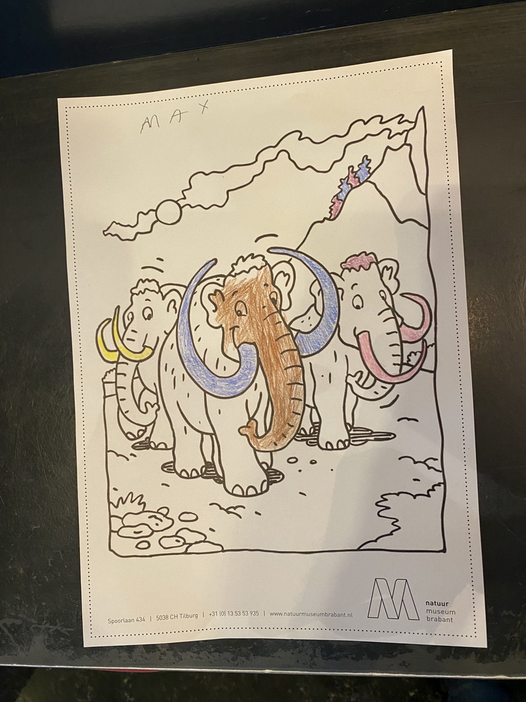 Max`s coloring page at the Museumcafé at the ground floor of the Natuurmuseum Brabant