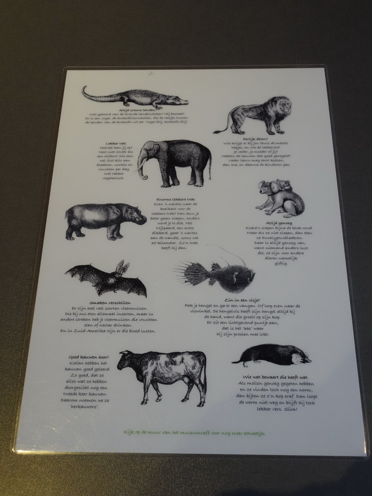 Information on animals at the Museumcafé at the ground floor of the Natuurmuseum Brabant