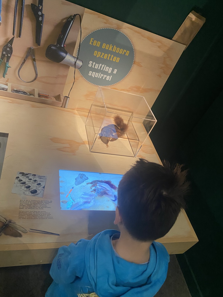 Max with information on stuffing a Squirrel at the `Mispoezen & Pechvogels - Stitched up and Stuffed` exhibition at the first floor of the Natuurmuseum Brabant