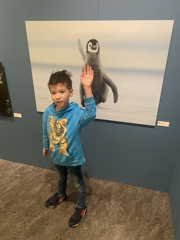 Max with a photograph of a Young Penguin at the `Comedy Wildlife` exhibition at the second floor of the Natuurmuseum Brabant, with explanation