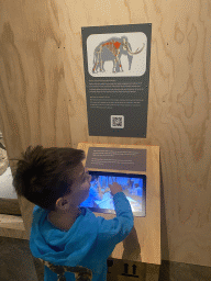 Max playing a Mammoth game next to the `Comedy Wildlife` exhibition at the second floor of the Natuurmuseum Brabant, with explanation