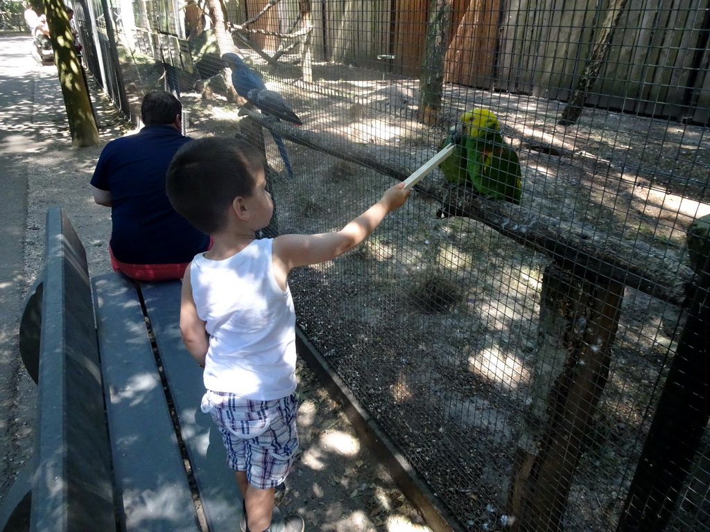 Max feeding Parrots at Zoo Veldhoven