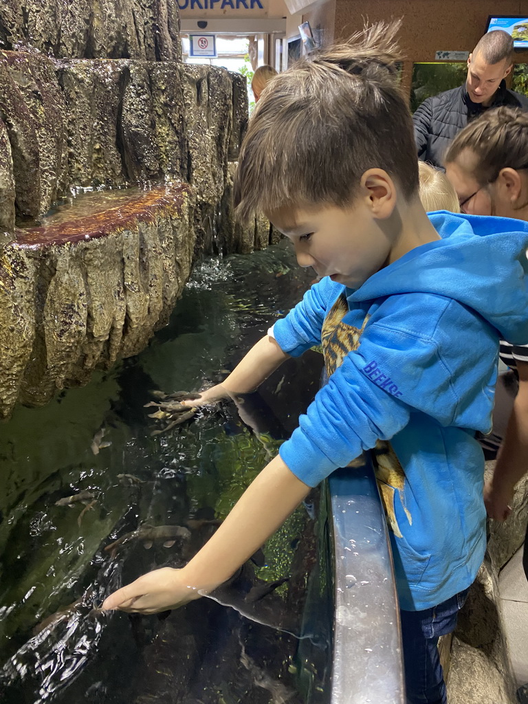 Max with Doctor Fish at the third floor of the Haus des Meeres aquarium