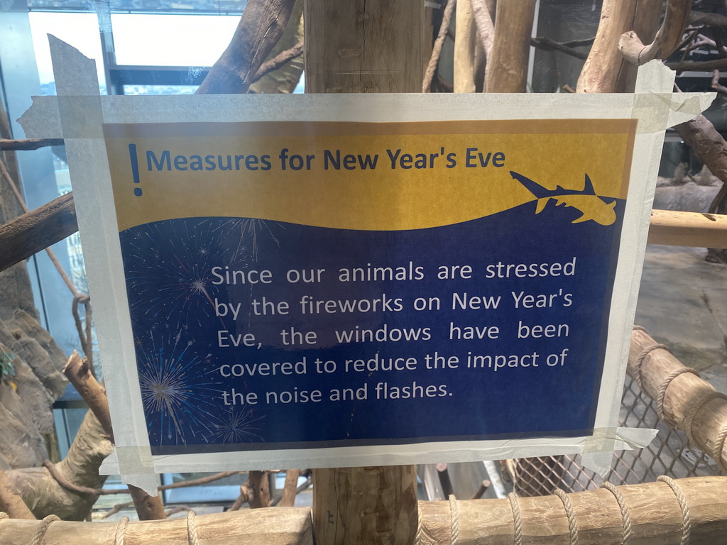 Information on measures for New York`s Eve at the Madagascar Area at the upper ninth floor of the Haus des Meeres aquarium