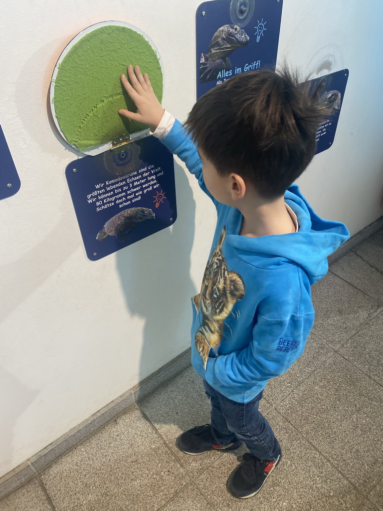 Max with a game on Komodo Dragons at the ninth floor of the Haus des Meeres aquarium