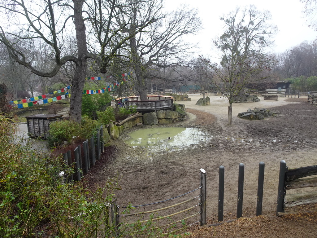 The Indian Rhinoceros enclosure at the Schönbrunn Zoo