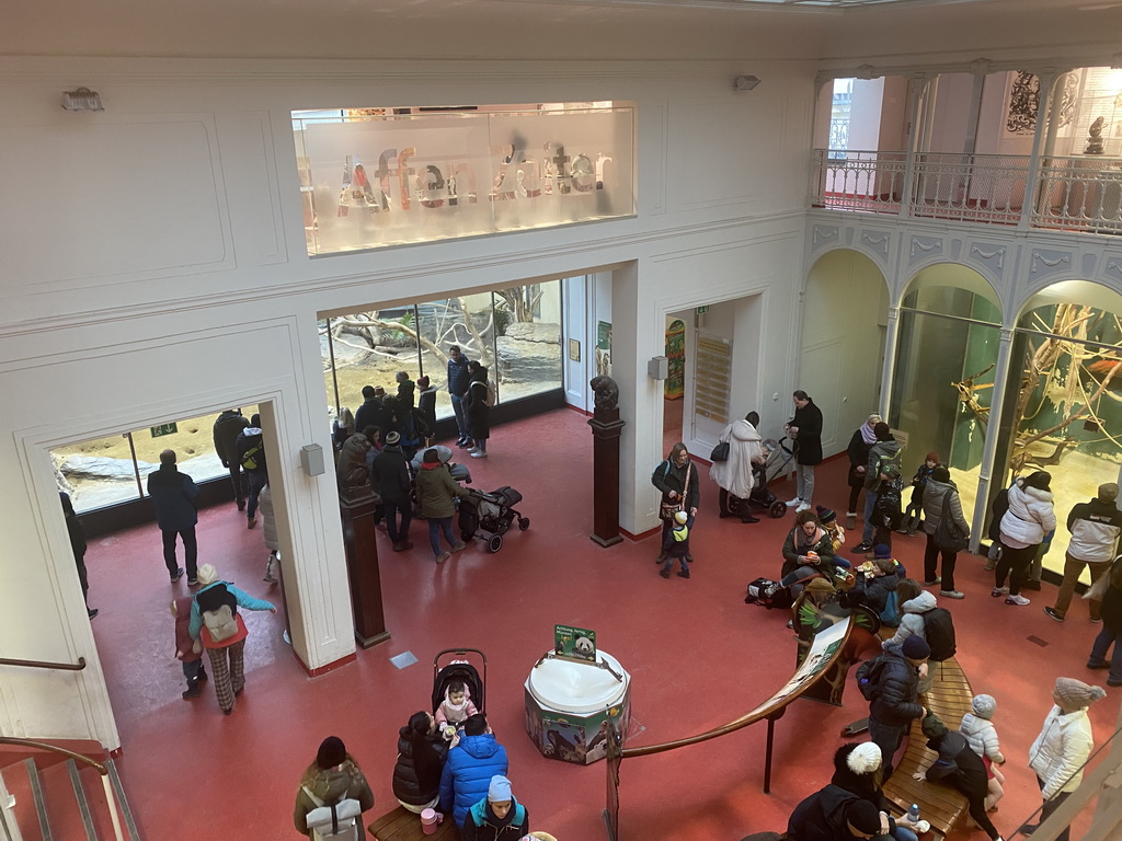 Interior of the Monkey House at the Schönbrunn Zoo, viewed from the upper floor