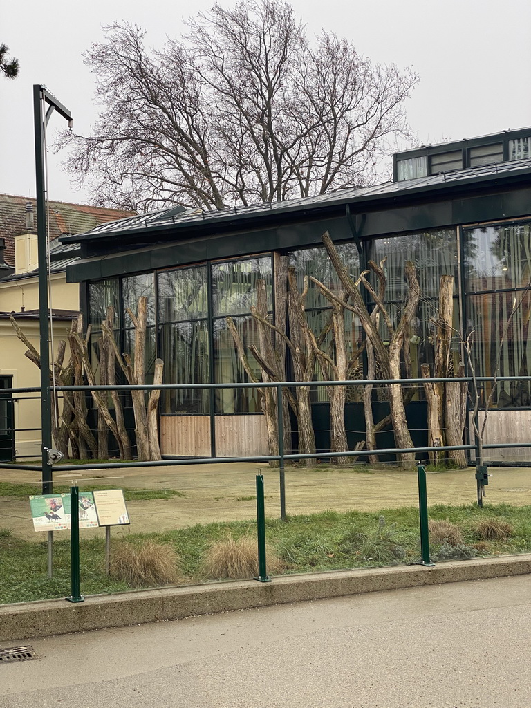 Giraffe House with Giraffe inside at the Schönbrunn Zoo