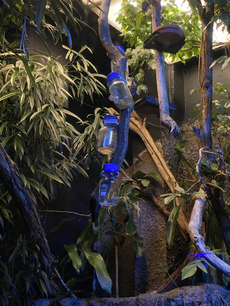 Drinking bottles at the Terrarium at the Aquarium-Terrarium House at the Schönbrunn Zoo