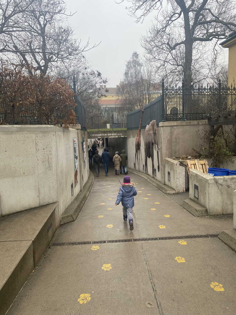 Max at the tunnel to the ORANG.erie building at the Schönbrunn Zoo