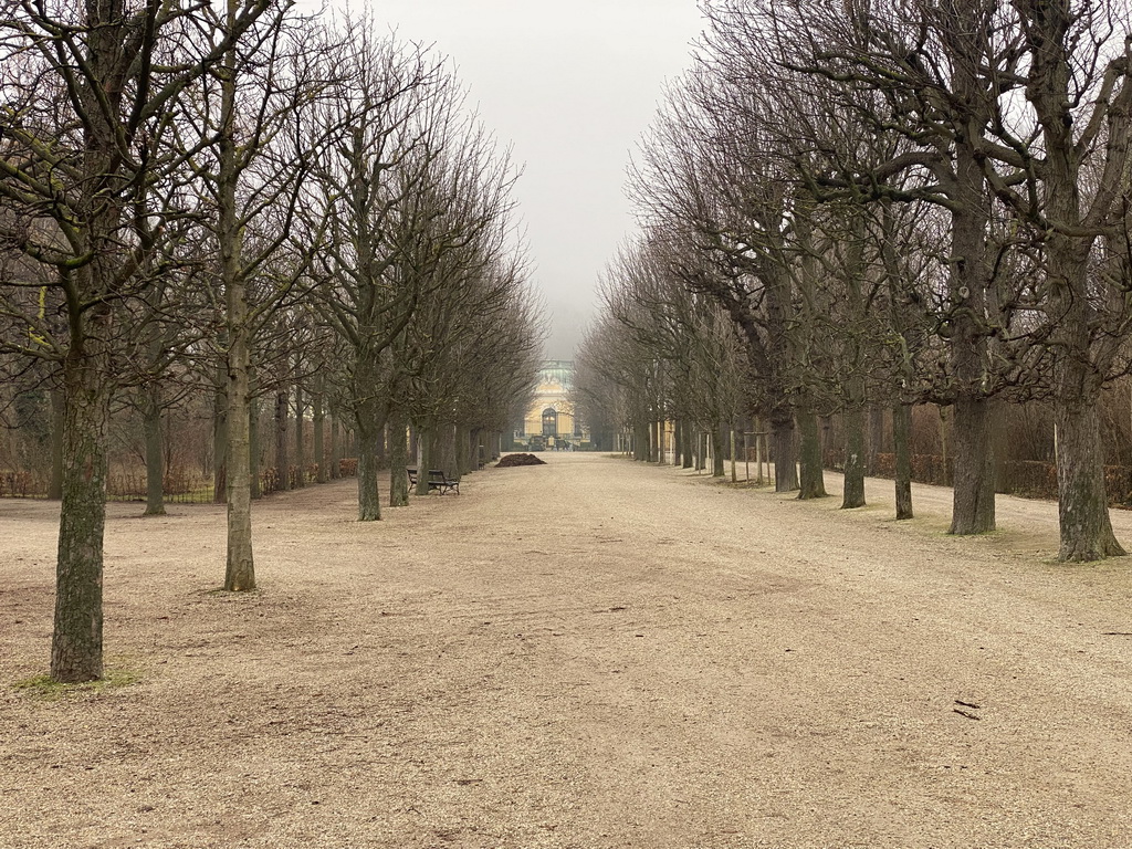 The Kastanienallee road at the Schönbrunn Park and the Café Restaurant Kaiserpavillon at the Schönbrunn Zoo