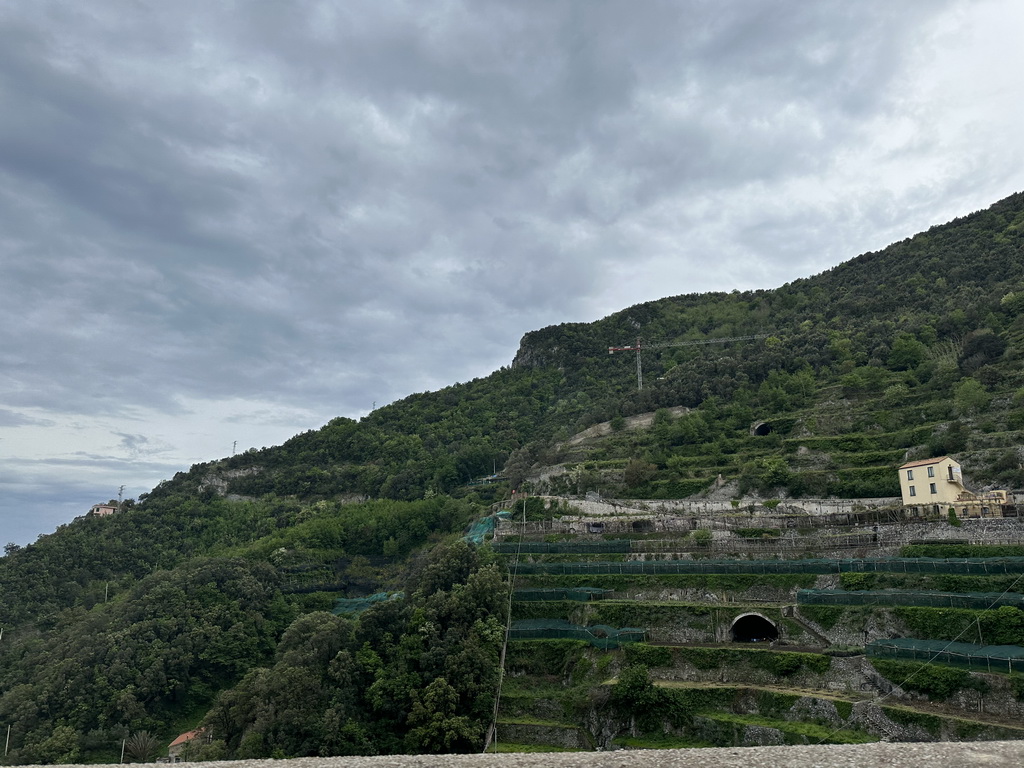 Terraces on the west side of the town of Erchie, viewed from our rental car on the Amalfi Drive