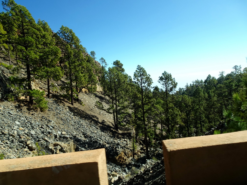 Hills and trees along the TF-21 road from Mount Teide, viewed from the rental car