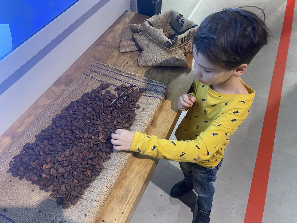 Max with cacao beans at the Chocolate Story museum at the WOW Cultural District