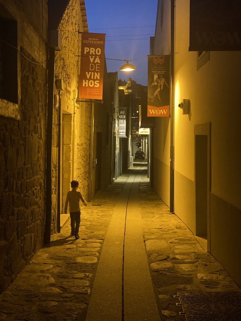 Max at the Rua de França street at the WOW Cultural District, by night