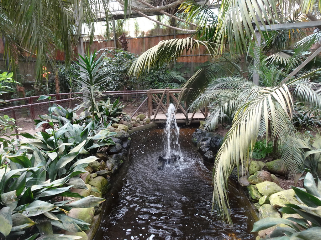 Fountain at the Tropical World building at the Zoo Santo Inácio