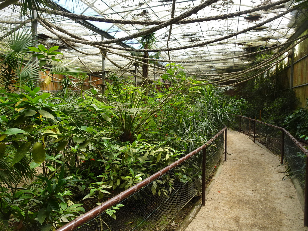 Interior of the Tropical World building at the Zoo Santo Inácio