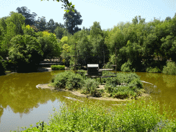 Island with Ring-tailed Lemurs at the Zoo Santo Inácio, viewed from the terrace of the Snack Bar