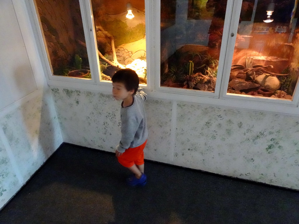 Max in a room at the first floor of the Iguana Reptile Zoo