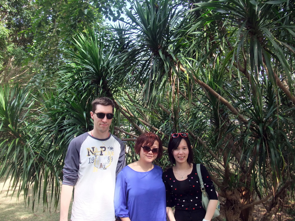 Tim, Miaomiao and Mengjin with a Cambodian Dragon Tree at the Xinglong Tropical Garden